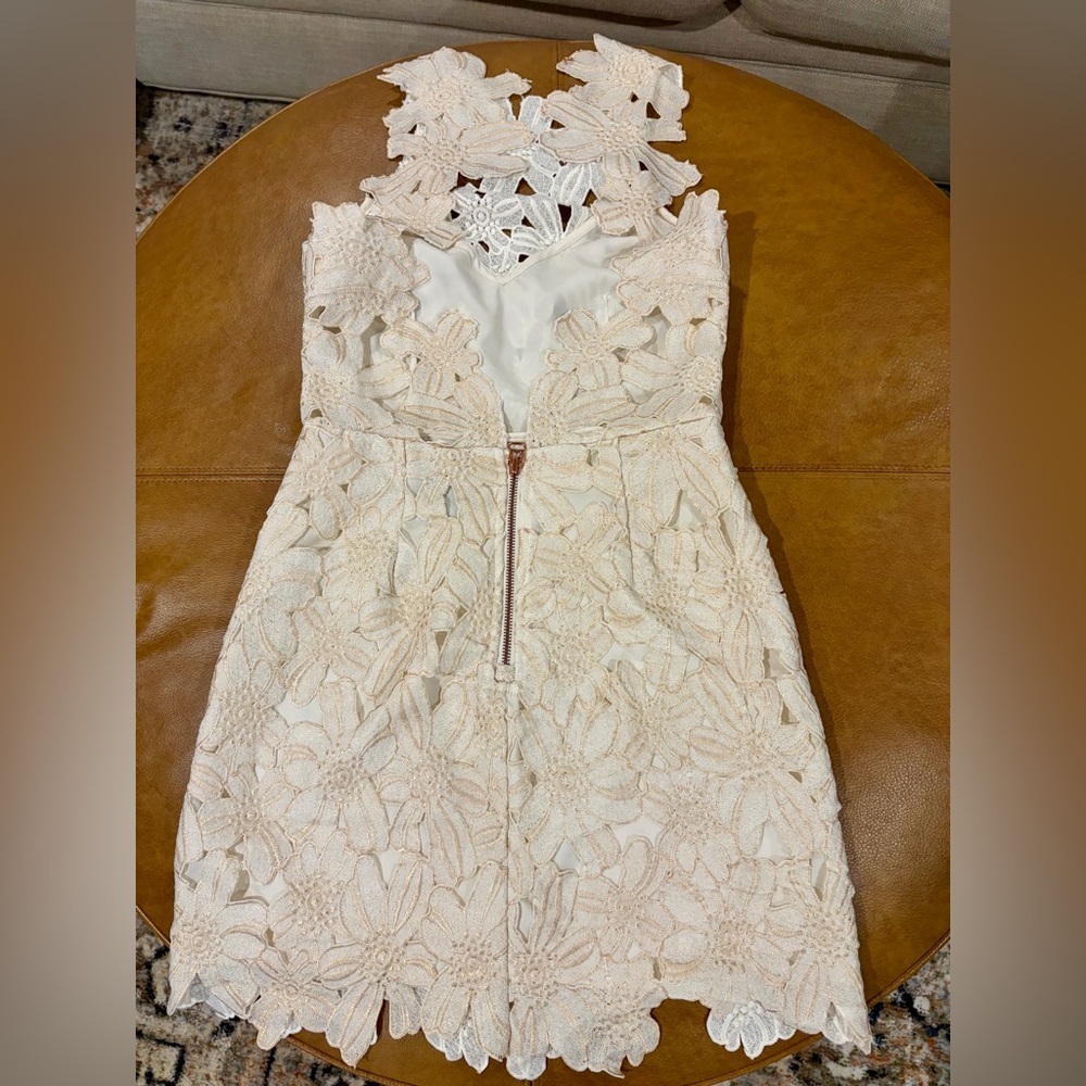 SAYLOR  Cream Floral Lace Backless Halter Dress - Picture 4 of 13